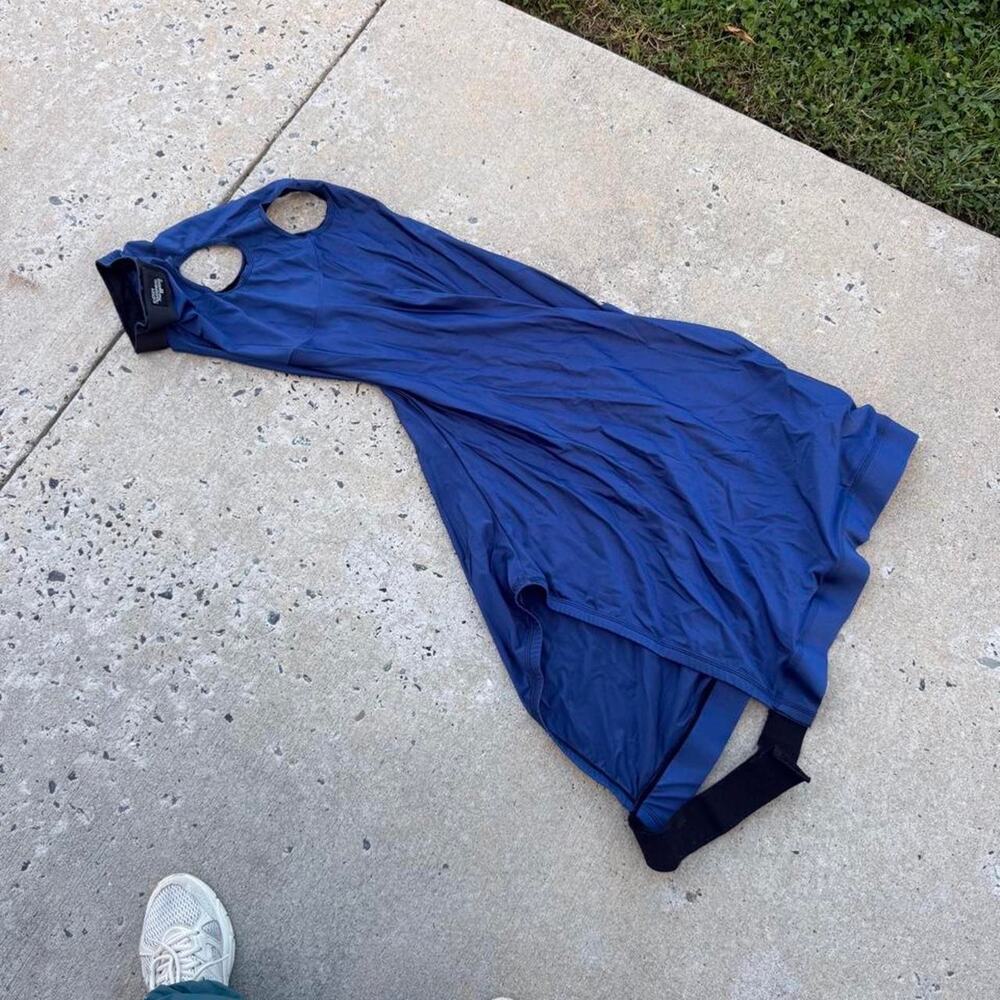 Schneiders royal blue horse sleazy